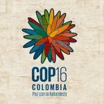 Cumbre Global África y su Diáspora en el Convenio de  Diversidad Biológica’: la voz de los Pueblos  Afrodescendientes ante la COP16