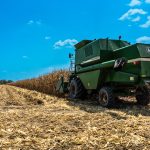 “La producción de cereales, leguminosas y soya en el país, no alcanza para cubrir la demanda nacional”: Fenalce en AgroExpo 2025