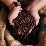 Café tostado colombiano creció 16 % en exportaciones