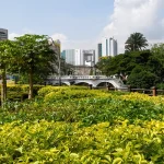 Cali lanza Plan Maestro de Sostenibilidad para liderar la descarbonización y la protección de su biodiversidad