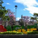 Ibagué registra caída histórica del desempleo en 2025