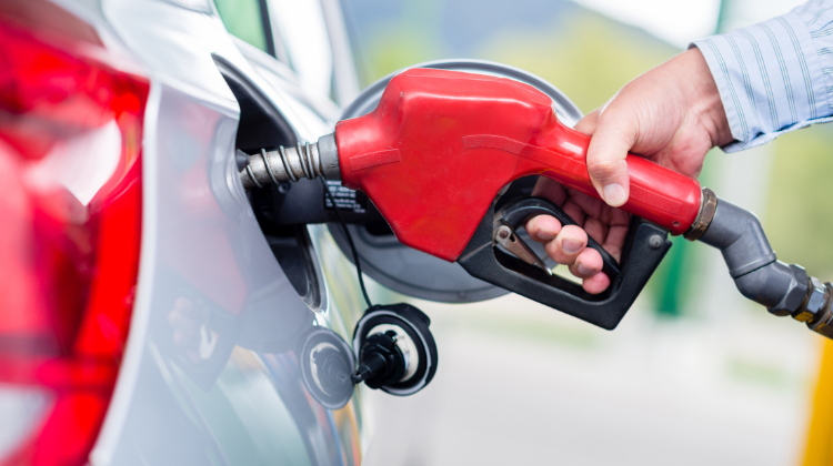 imagen_2026-02-11_185008197