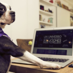 LAIKA NetSuite impulsa la gestión omnicanal de la marca