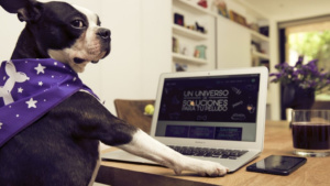 imagen_2026-02-12_202855879