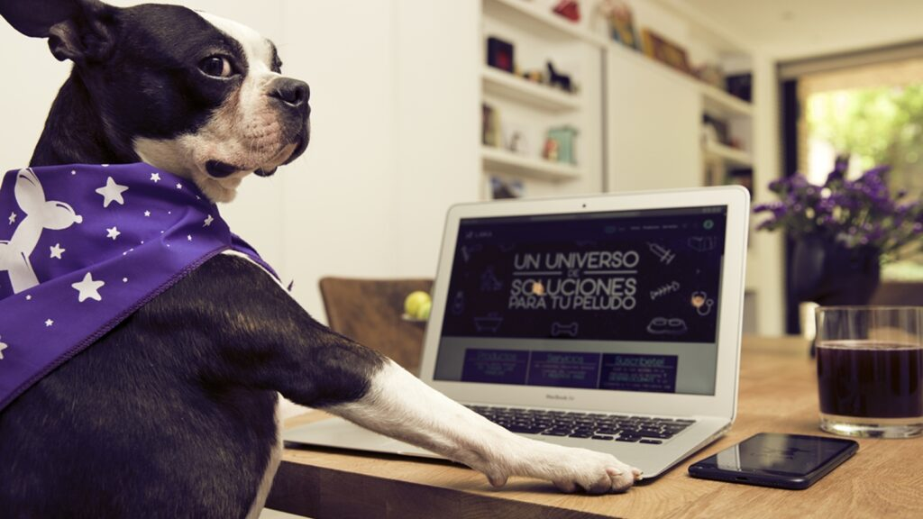 imagen_2026-02-12_202855879