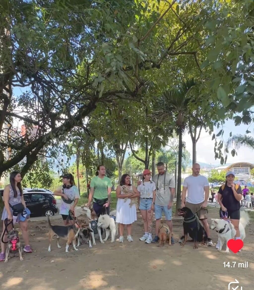 PORTADA MASCOTAS SABANETA