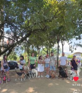 PORTADA MASCOTAS SABANETA