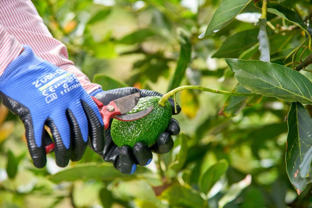 WhatsApp Image 2026-04-09 at 10.59.28 AM