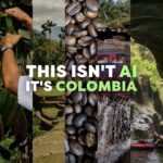 Una noche para transformar vidas en la Amazonía: Fundación DE UNA invita al Cóctel Benéfico JIBABA
