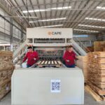 Empleo formal en las regiones: cómo la industria maderera impulsa oportunidades fuera de las capitales