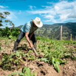 Deloitte alerta sobre inflación y tarifas de energía en Colombia