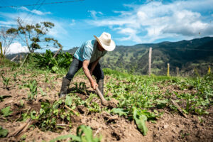 Fenómeno de El Niño